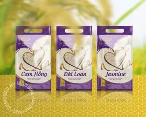 Thiết kế bao bì gạo Hoàng Gia